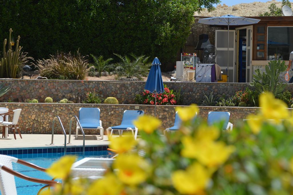 הורגהדה Rivoli Suites מראה חיצוני תמונה